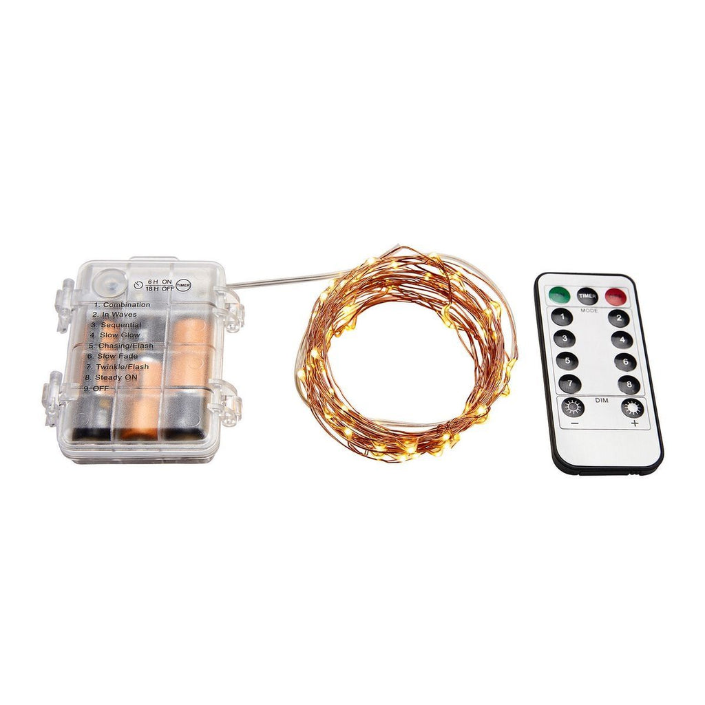 Warm White Copper Wire Lights with Remote M22815