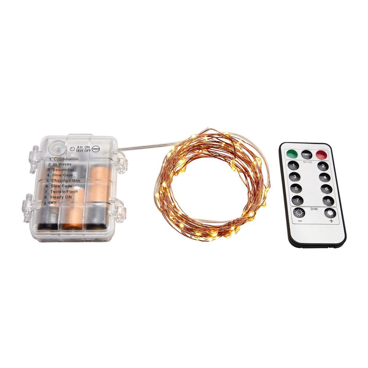 Warm White Copper Wire Lights with Remote M22815