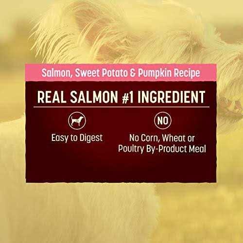 Grain Free Salmon Sweet Potato Dry Dog Food Z43984