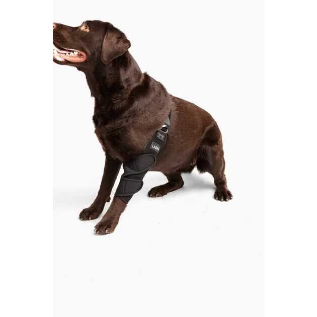 Dog Shoulder Elbow Brace Leg Wrap C1590