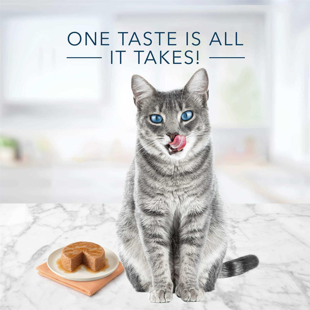 Wet Cat Food Variety M10147