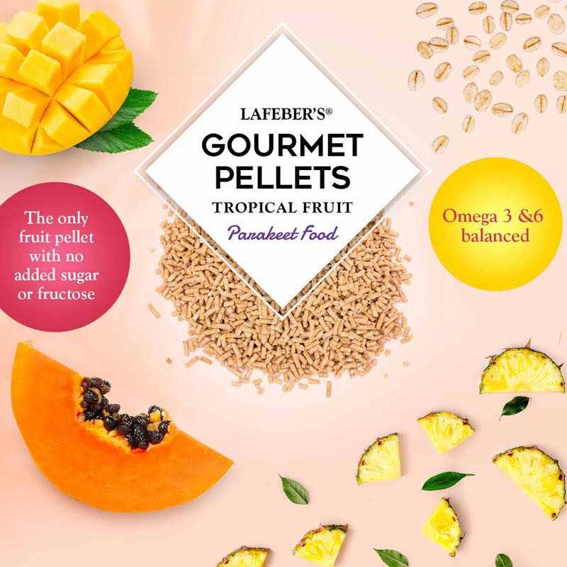 Tropical Fruit Bird Food R278