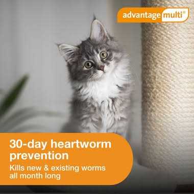 Advantage Multi for Cats E463538
