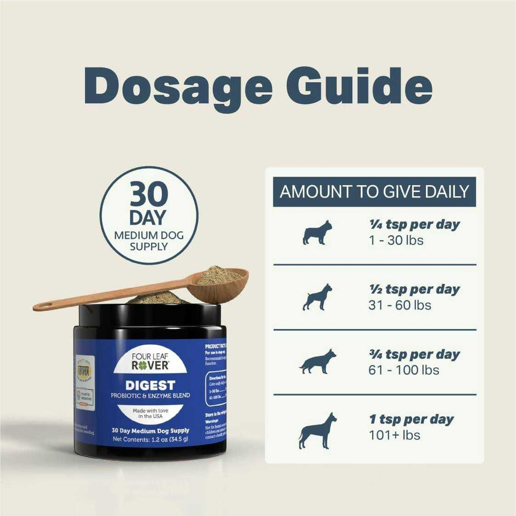 Digestive Enzymes and Probiotics for Dogs U183770