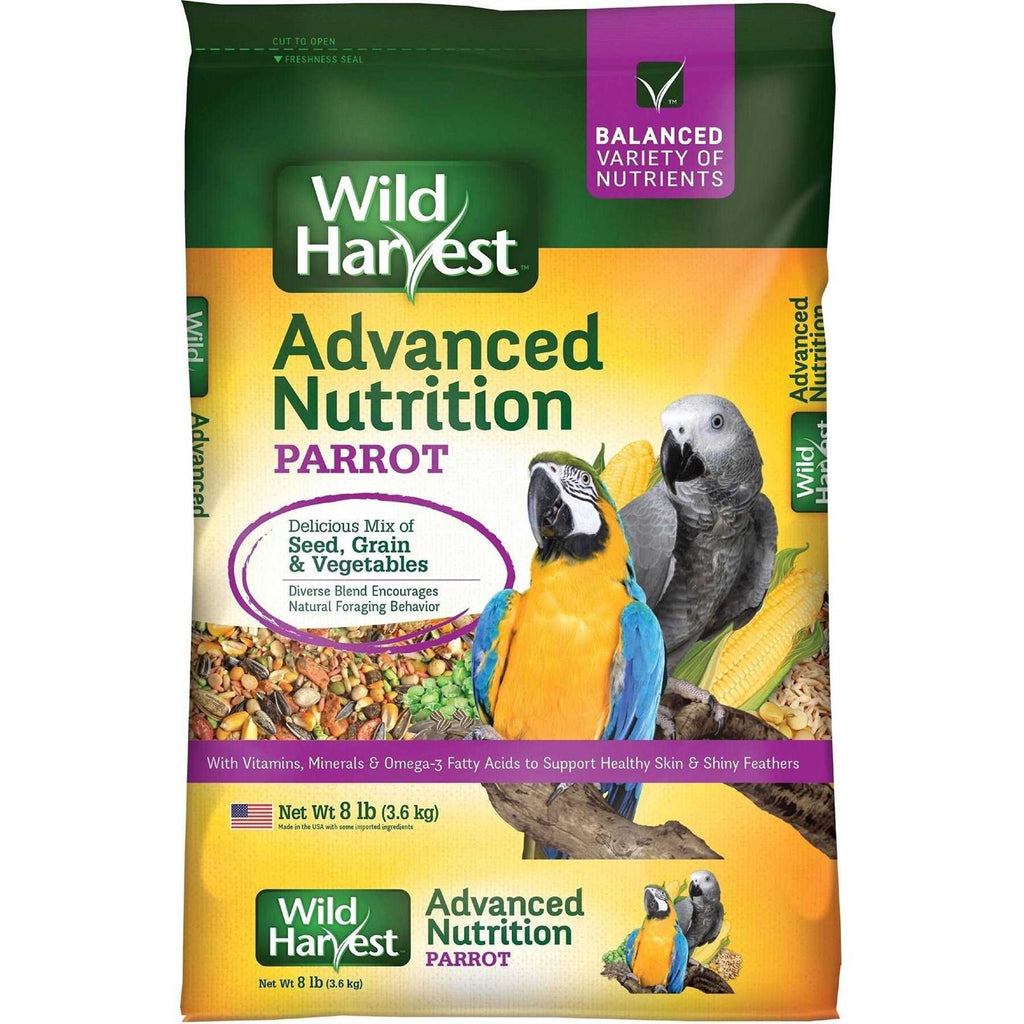 Parrot Bird Food I893059